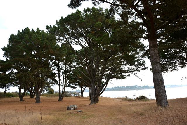 min 2016 10 14 morbihan 100